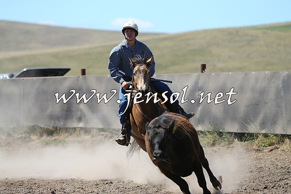 AdaminabyCampdraft2014_0900