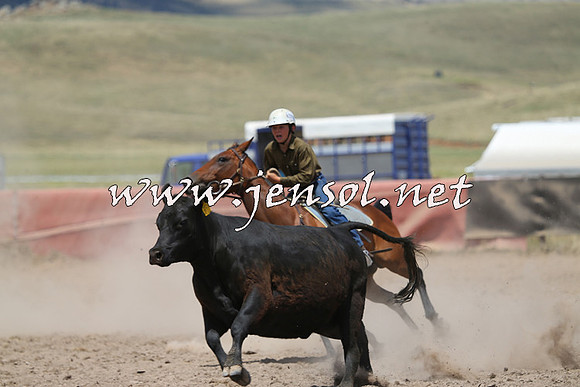 AdaminabyCampdraft2014_0488