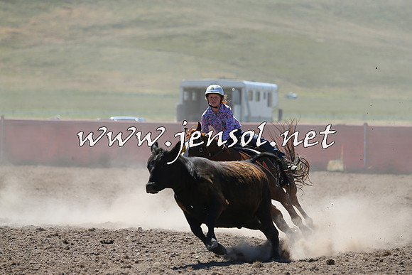 AdaminabyCampdraft2014_0869