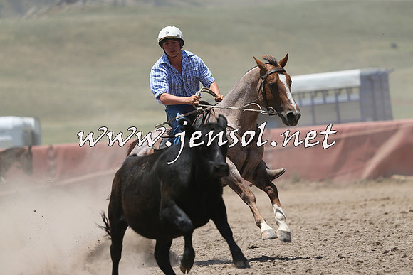 AdaminabyCampdraft2014_0233