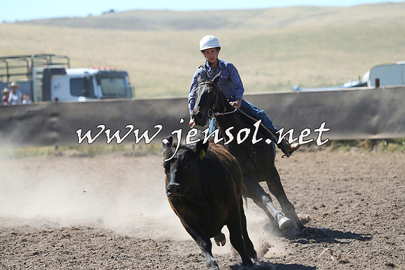 AdaminabyCampdraft2014_0830