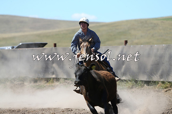 AdaminabyCampdraft2014_0899