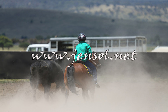 AdaminabyCampdraft2014_0385