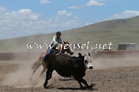AdaminabyCampdraft2014_0246