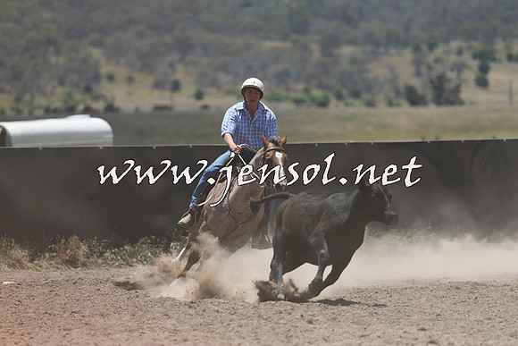 AdaminabyCampdraft2014_0228