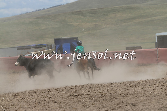AdaminabyCampdraft2014_0398