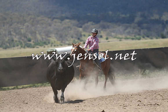 AdaminabyCampdraft2014_0430