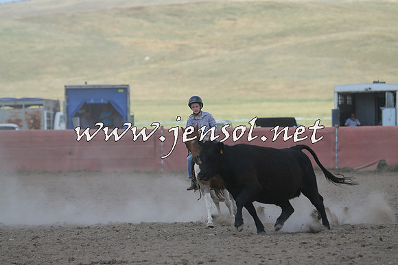 AdaminabyCampdraft2014_0505