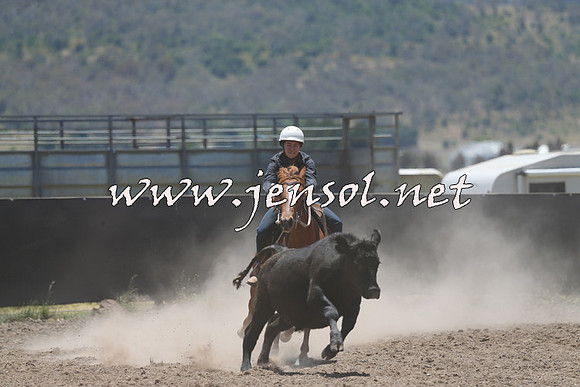 AdaminabyCampdraft2014_0150