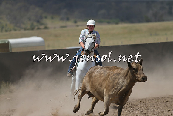 AdaminabyCampdraft2014_0493