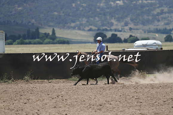 AdaminabyCampdraft2014_0235