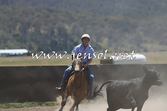 AdaminabyCampdraft2014_0135