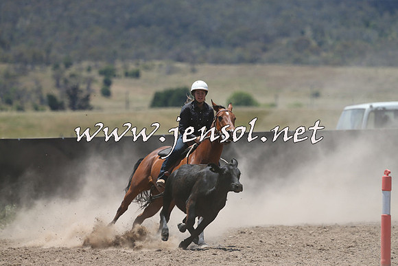 AdaminabyCampdraft2014_0248