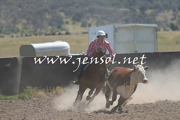 AdaminabyCampdraft2014_0910