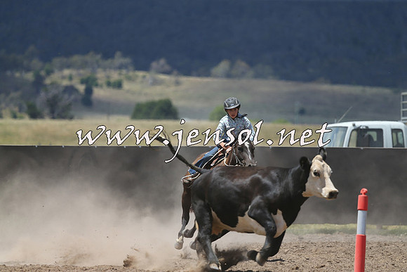 AdaminabyCampdraft2014_0461