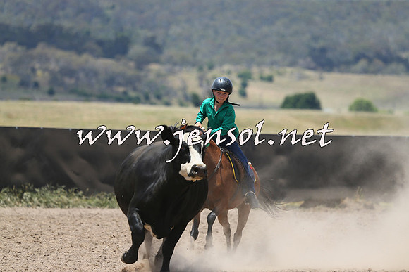 AdaminabyCampdraft2014_0391