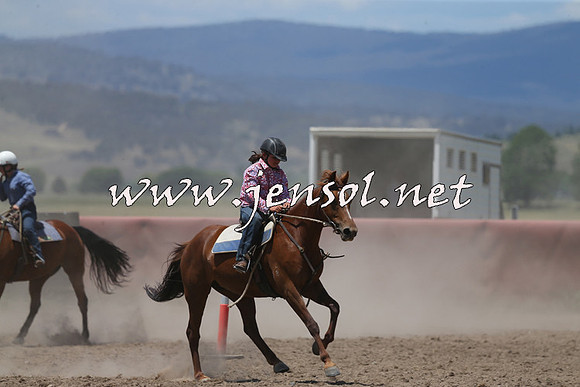 AdaminabyCampdraft2014_0442