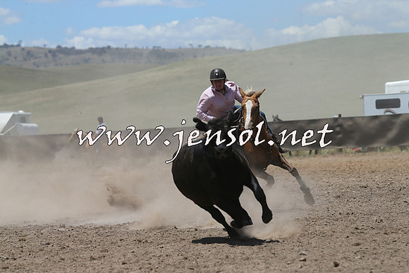AdaminabyCampdraft2014_0173