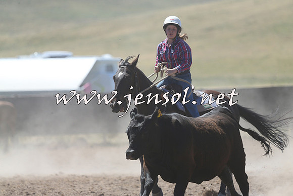 AdaminabyCampdraft2014_0888