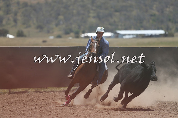 AdaminabyCampdraft2014_0212