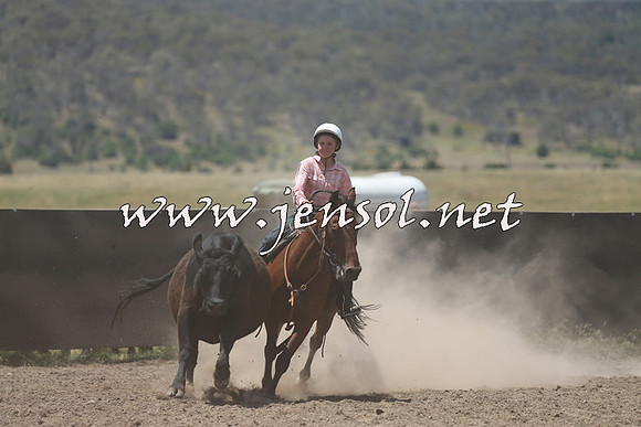 AdaminabyCampdraft2014_0479