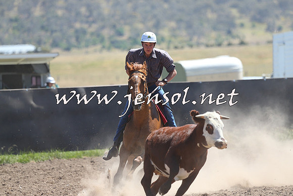 AdaminabyCampdraft2014_0903