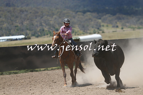 AdaminabyCampdraft2014_0434