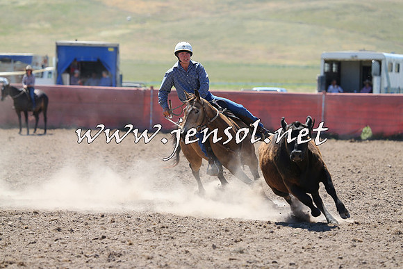 AdaminabyCampdraft2014_0892