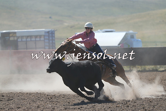 AdaminabyCampdraft2014_0826