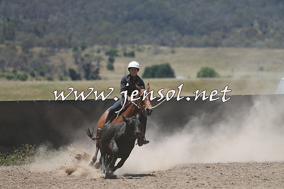 AdaminabyCampdraft2014_0250