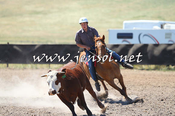 AdaminabyCampdraft2014_0907