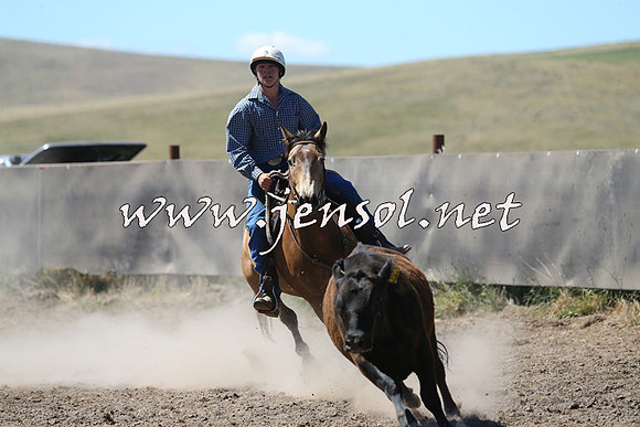 AdaminabyCampdraft2014_0898