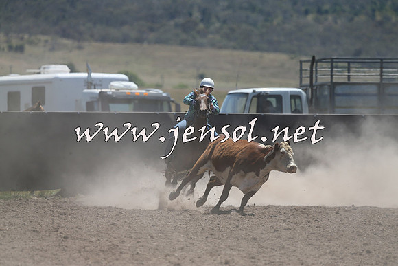 AdaminabyCampdraft2014_0932
