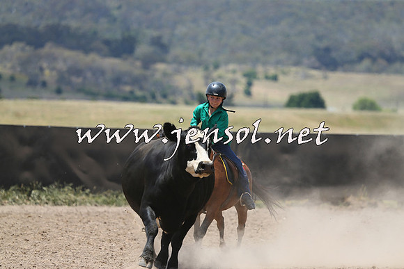 AdaminabyCampdraft2014_0393