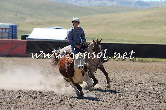 AdaminabyCampdraft2014_0844