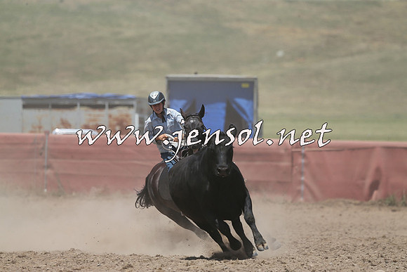 AdaminabyCampdraft2014_0469