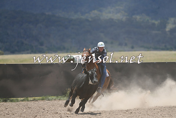 AdaminabyCampdraft2014_0196