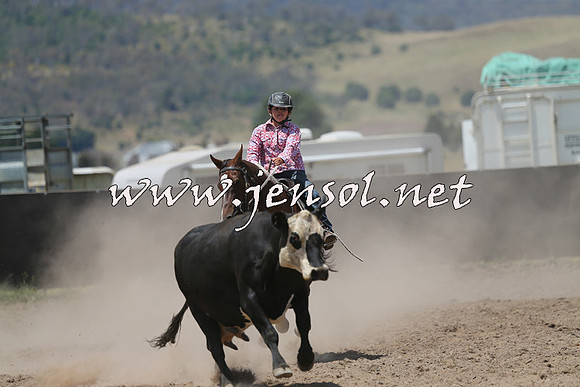 AdaminabyCampdraft2014_0484
