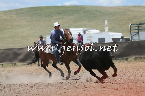 AdaminabyCampdraft2014_0216