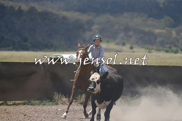AdaminabyCampdraft2014_0417