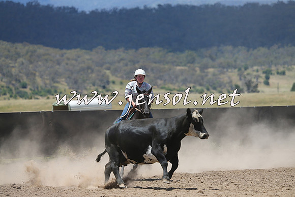 AdaminabyCampdraft2014_0454