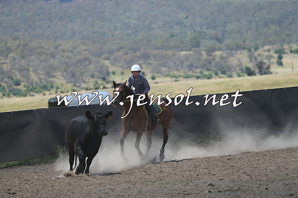 AdaminabyCampdraft2014_0474