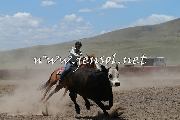 AdaminabyCampdraft2014_0244