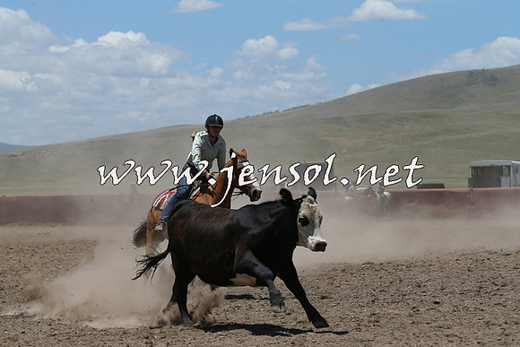 AdaminabyCampdraft2014_0245