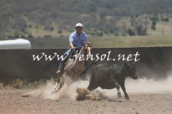 AdaminabyCampdraft2014_0227