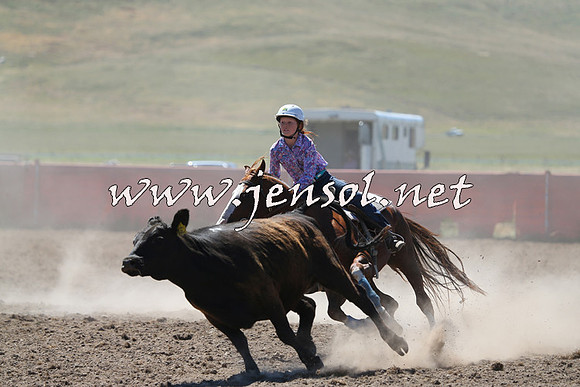 AdaminabyCampdraft2014_0868