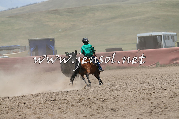 AdaminabyCampdraft2014_0397