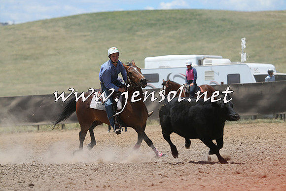 AdaminabyCampdraft2014_0217