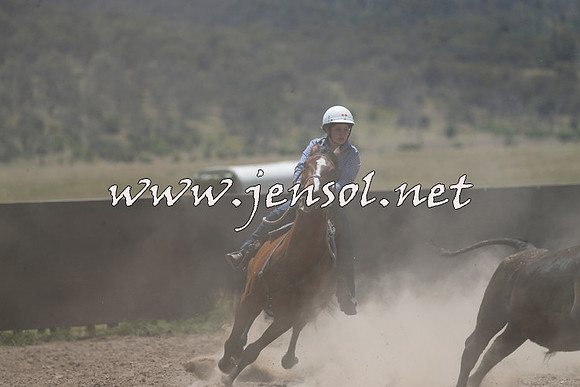 AdaminabyCampdraft2014_0177