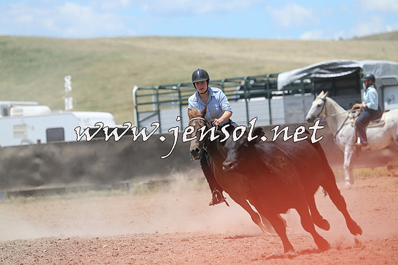 AdaminabyCampdraft2014_0205